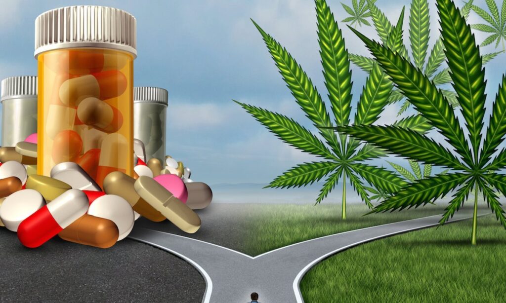 medical marijuana prescription online