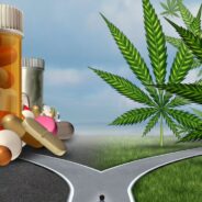 Why Choose Us for Your Online Medical Marijuana Prescription?